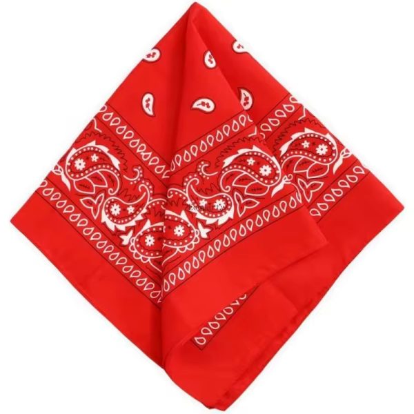 Bandana Cowboy